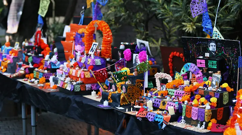 Organización Merequetengue Educare 5.1